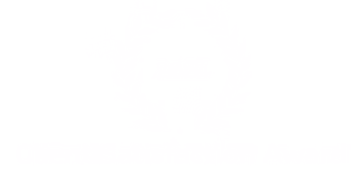 Client Satisfaction Award 2024